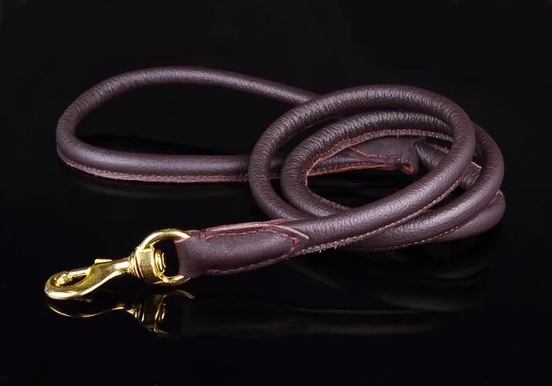 Leren Hondenriem - Lengte: 180 cm x 12 mm - Bruin - Messing by Dog's Companion in Brown, Messing x 180 cm (Lengte) – product photo
