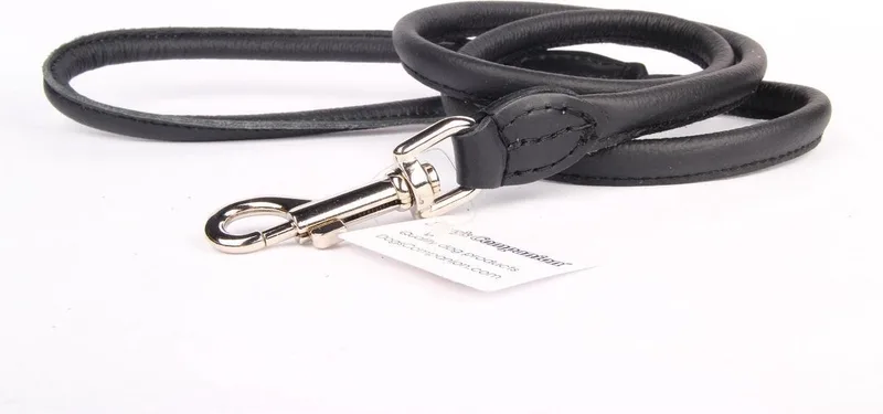 Leren Hondenriem - Lengte: 180 cm x 12 mm - Zwart de Dog's Companion en Zwart x 180 cm (Lengte) – photo produit
