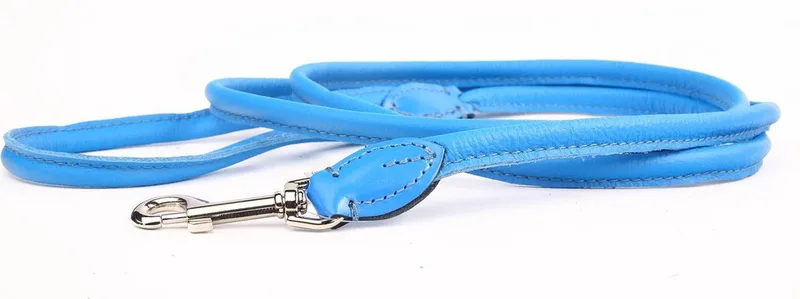 Leren Hondenriem - Lengte: 180 cm x 8 mm - Blauw fra Dog's Companion i Blauw x 180 cm (Lengte) – produktbillede