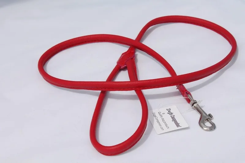 Leren Hondenriem - Lengte: 180 cm x 8 mm - Rood von Dog's Companion in Rood x 180 cm (Lengte) – Produktfoto
