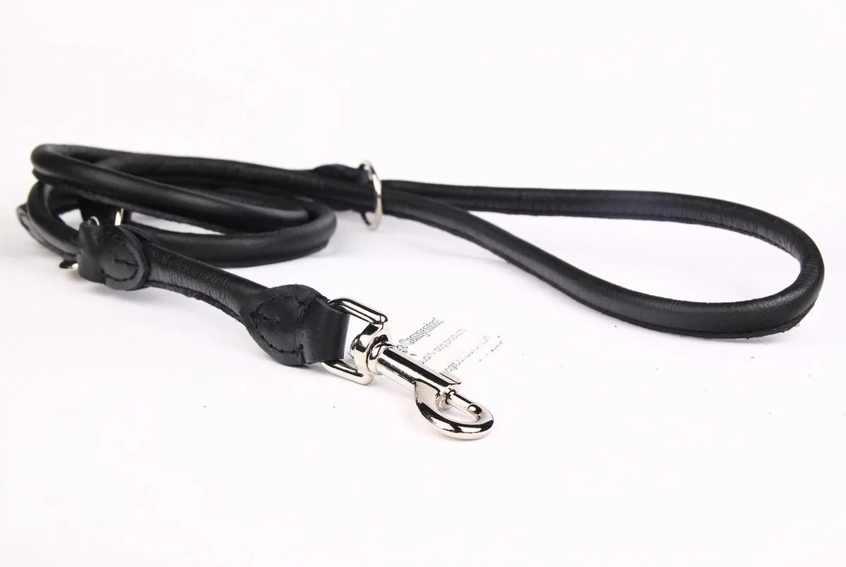 Leren Politielijn Hond, 220cm - Lengte: 220cm (10 mm), Kleur: Zwart - Verstelbaar op 130-170-210 cm de Dog's Companion en Zwart x 10 mm (dik) – photo produit