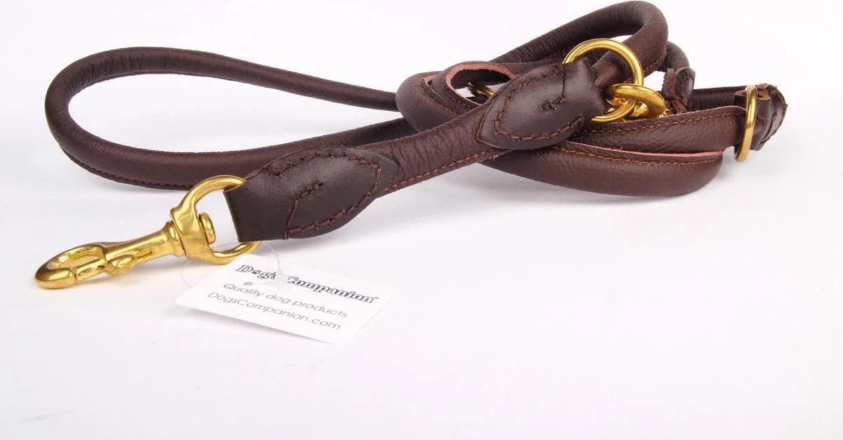Leren Politielijn Hond, 220cm, Messing - Lengte: 220cm (10 mm), Kleur: Bruin - Verstelbaar op 130-170-210 cm de Dog's Companion en Marron, Messing x 10 mm (dik) – photo produit