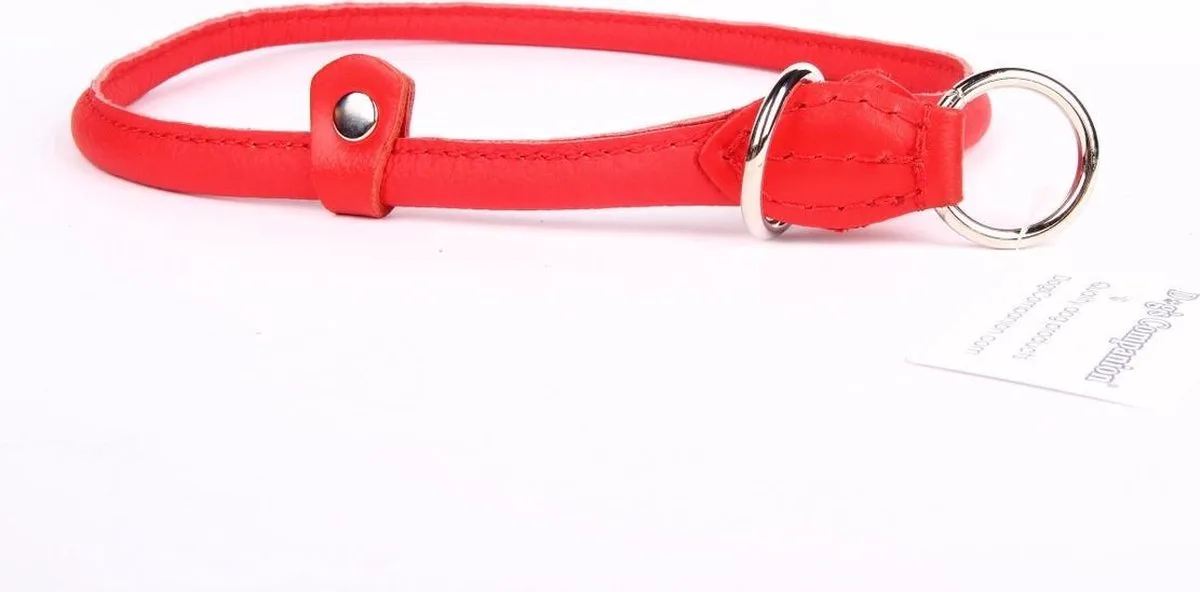 Leren sliphalsband hond (chroom) - Lengte: 65cm (10 mm), Kleur de Dog's Companion en Rouge – photo produit