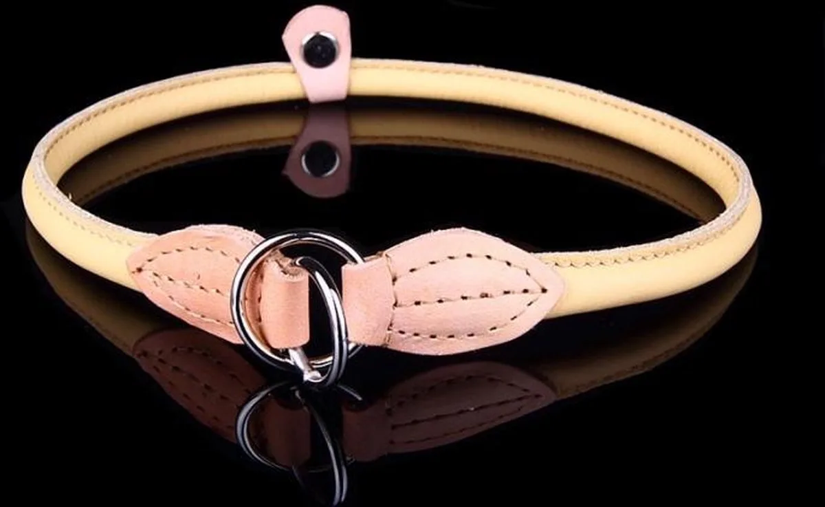 Leren Sliphalsband - Lengte: 75 cm x 12 mm de Dog's Companion en Naturel – photo produit