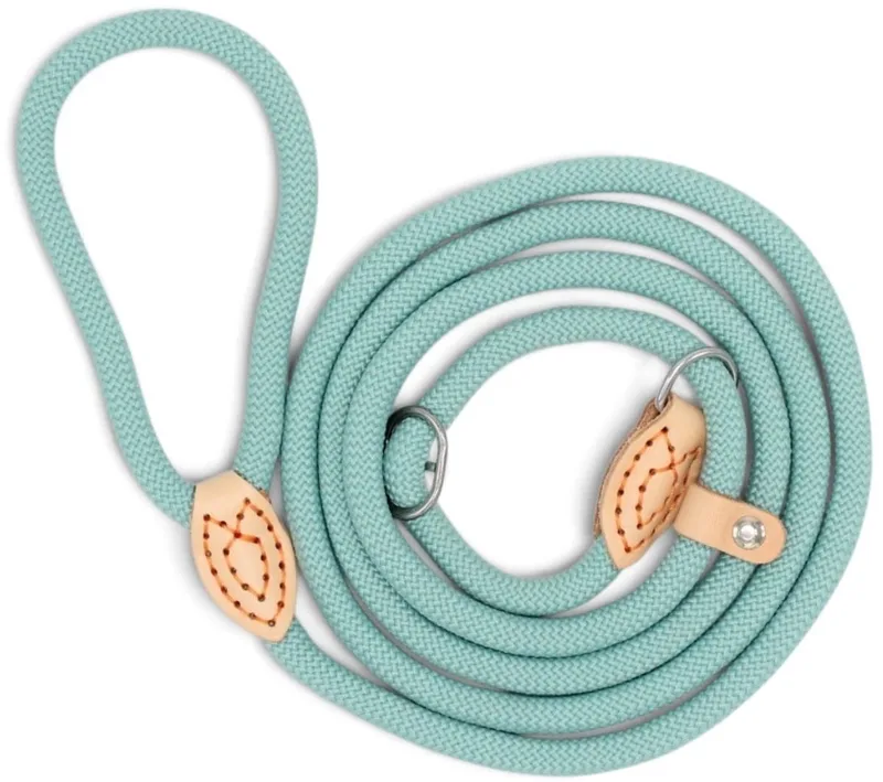 Nylon Retrieverlijn voor Honden met Leren Stop | Rond Gevlochten Sliplijn en Hondenlijn voor Wandelen en Training | 1,5 of 1,8 Meter - Lengte: 1,5 m (6mm), Kleur by Dog's Companion in Light blue – product photo