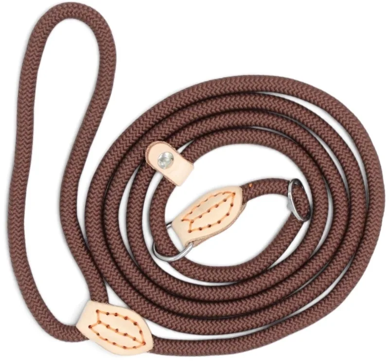 Nylon Retrieverlijn voor Honden met Leren Stop | Rond Gevlochten Sliplijn en Hondenlijn voor Wandelen en Training | 1,5 of 1,8 Meter - Lengte: 1,5 m (6mm), Kleur by Dog's Companion in Brown – product photo