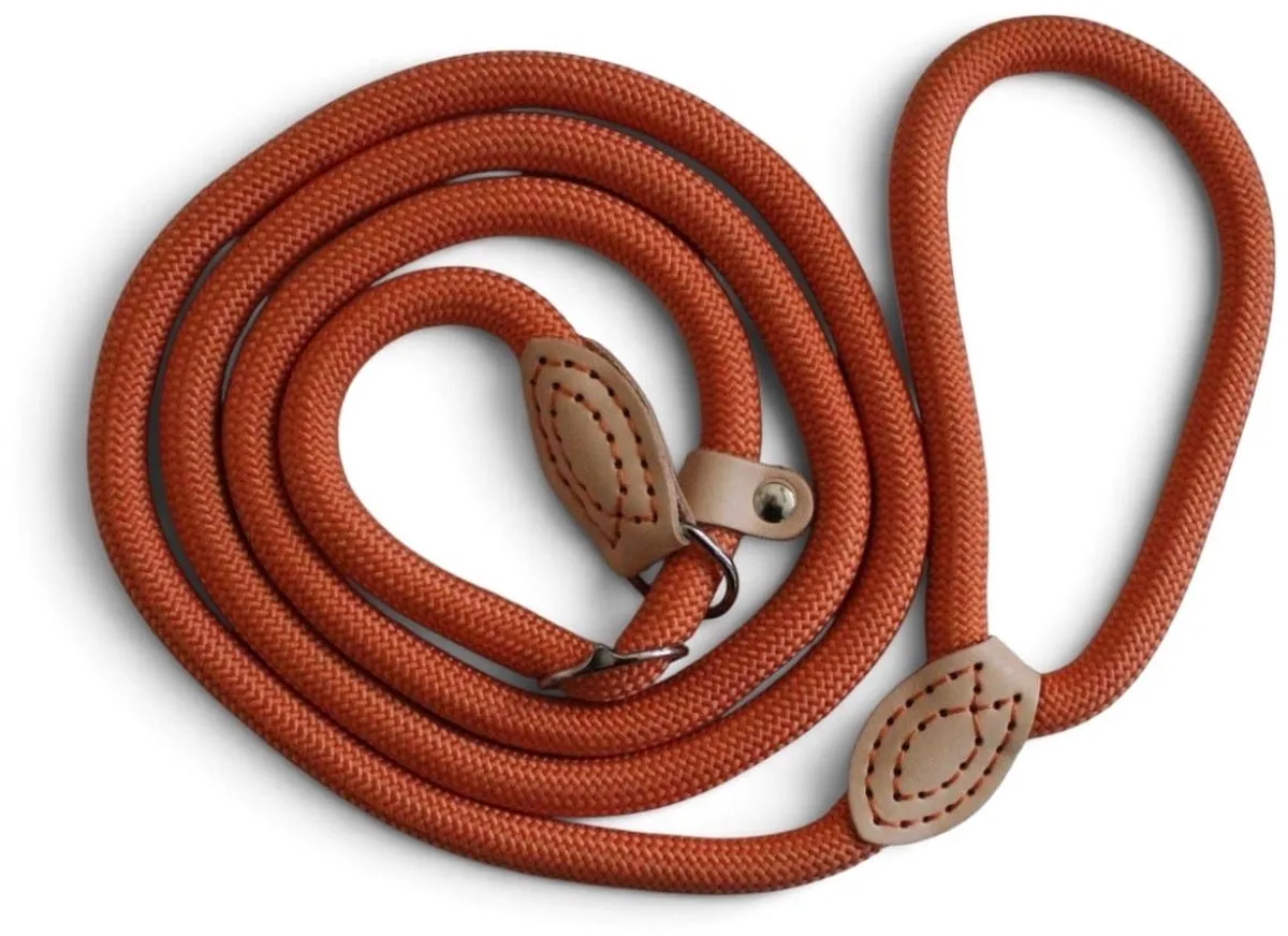 Nylon Retrieverlijn voor Honden | Rond Gevlochten Hondenlijn met Verstelbare Leren Stop | 1,5 of 1,8 meter | 14 of 16 mm | 9 Kleuren - Lengte: 180cm (14 mm), Kleur de Dog's Companion en Orange – photo produit