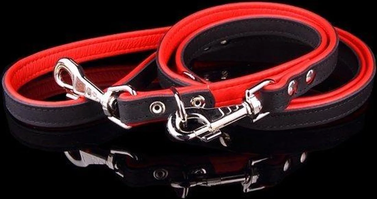 Politielijn / Trainingslijn Hond Verstelbare Leren Riem (soft/duo) Lengte: 220cm (20 mm), Kleur: Zwart / Rood - Verstelbaar op 130-170-210 cm van Dog's Companion in Zwart, Rood – productfoto