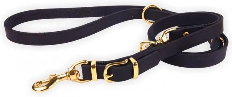 Politielijn van Tuigleer - Verstelbare Leren Hondenriem Exclusive Gold Lengte: 220cm (25 mm), Kleur: - Verstelbaar op 130-170-210 cm by Dog's Companion in Black – product photo
