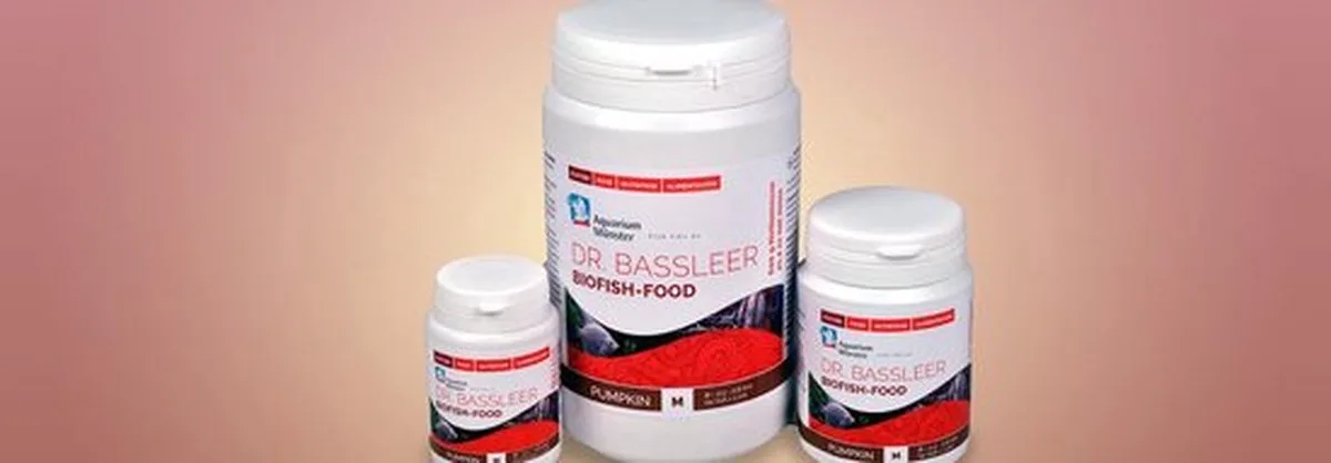 Pumpkin de Dr. Bassleer – photo produit