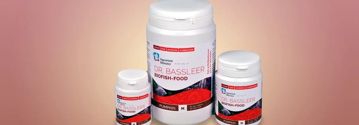 Pumpkin de Dr. Bassleer – photo produit