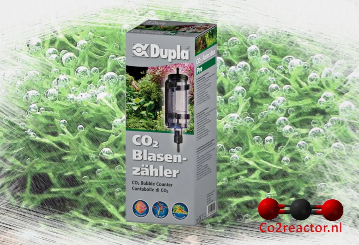 CO2 Bellenteller de Dupla en Transparent – photo produit