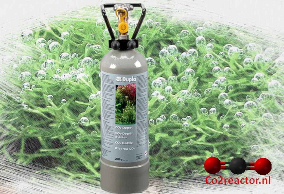 CO2 Depot 2000 Gram de Dupla en Gris – photo produit