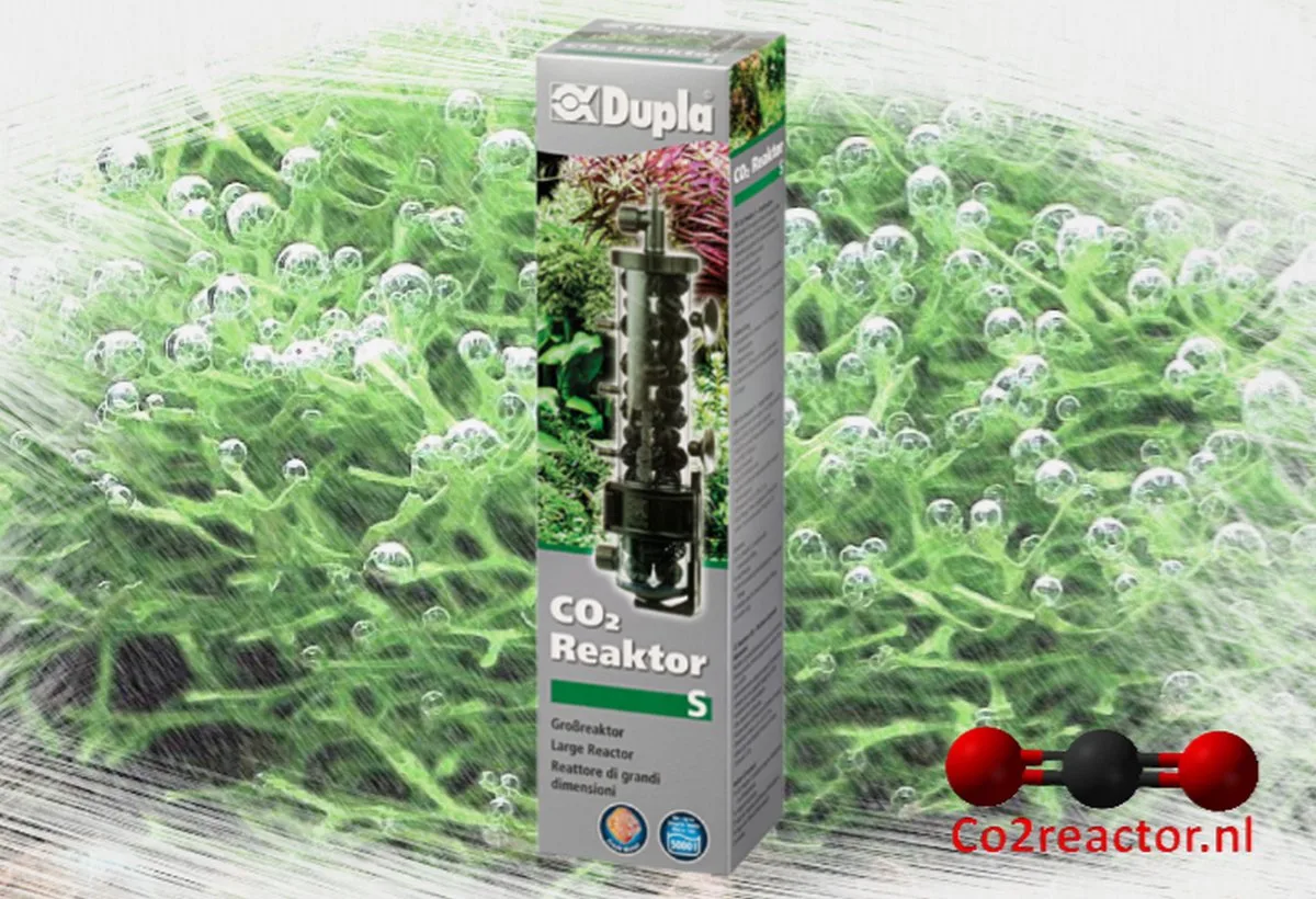 CO2 Reaktor S de Dupla en Noir, Transparent – photo produit