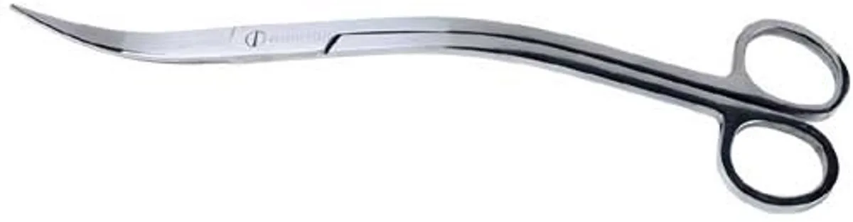 Scaper's Tool RVS Schaar Gebogen S 23,5CM von Dupla – Produktfoto