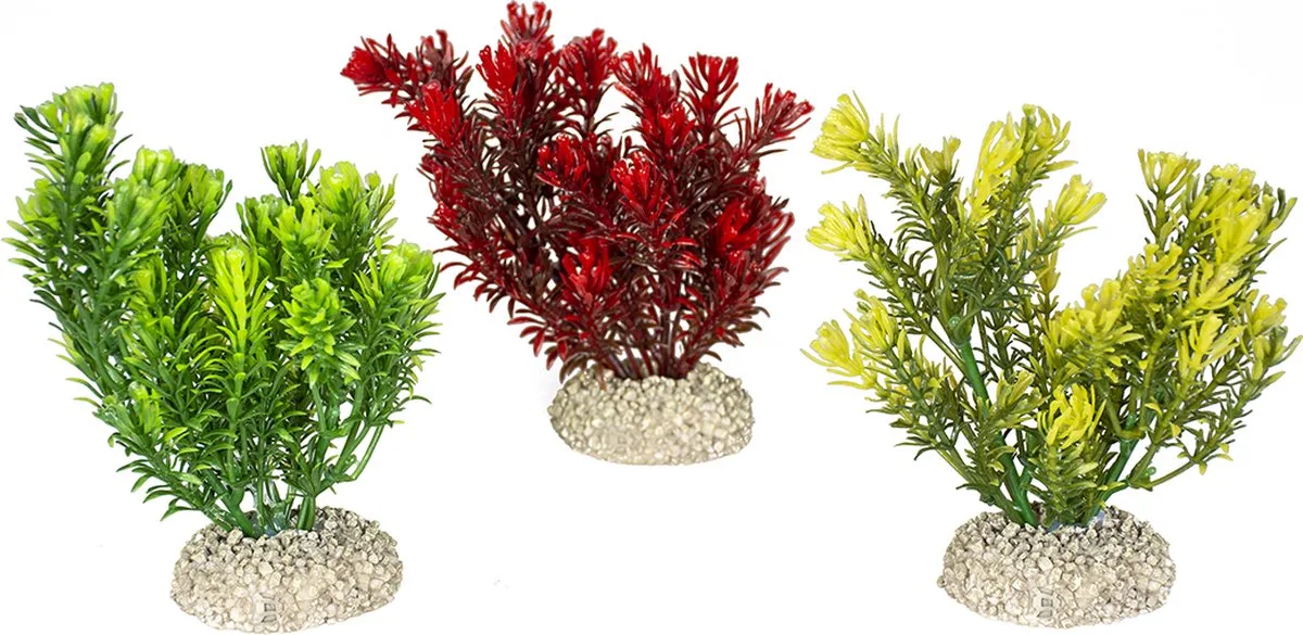 Aqua Della - Aquariumdecoratie - Vissen - Plant Canadensis S - Height 13cm - 1st van Duvo+ in Gemengde Kleuren – productfoto