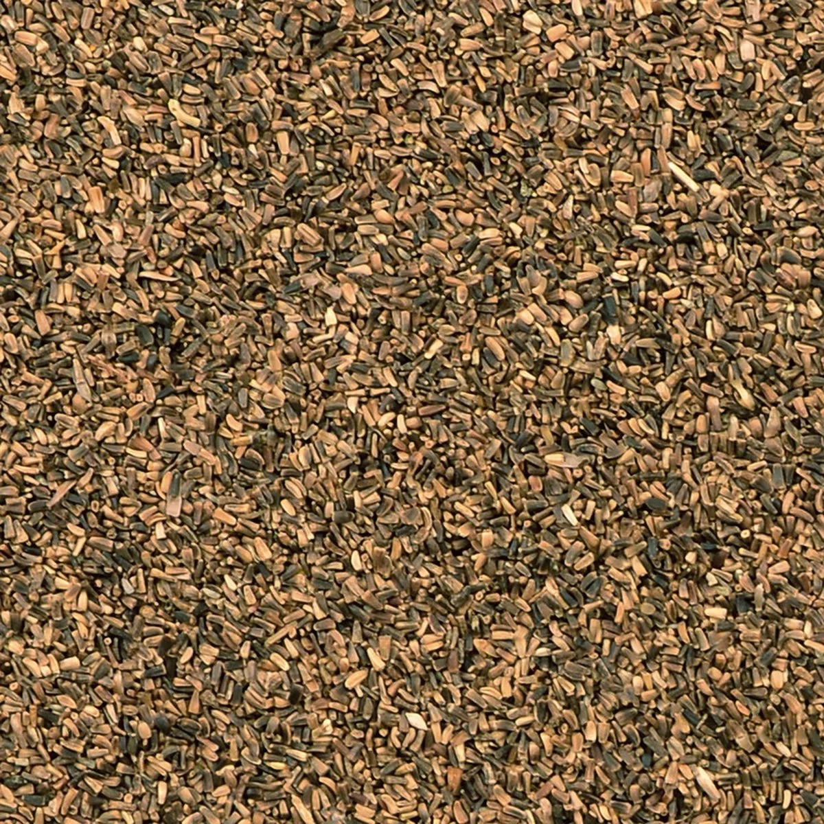 Binnenvogelvoer - Vogel - Chicoreizaad 20kg - 1st van Duvo+ – productfoto