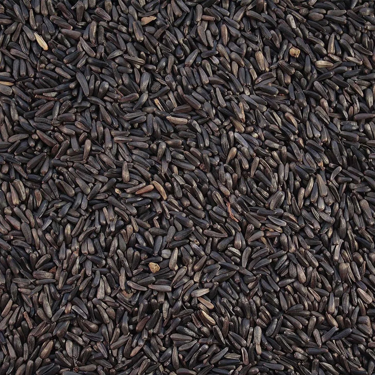 Binnenvogelvoer - Vogel - Nigerzaad Extra 20kg - 1st de Duvo+ – photo produit