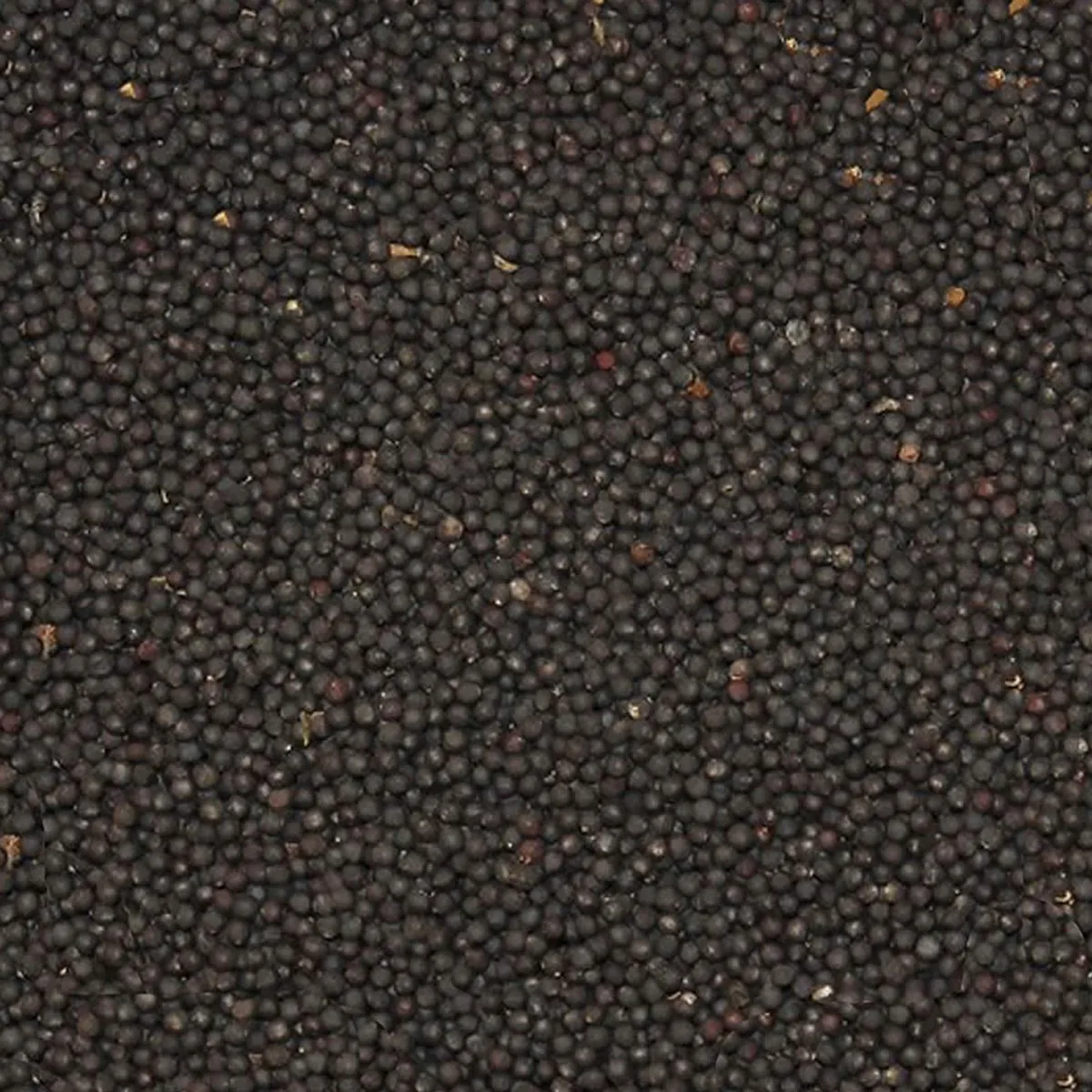 Binnenvogelvoer - Vogel - Raapzaad Canada Duvo 20kg - 1st van Duvo+ – productfoto