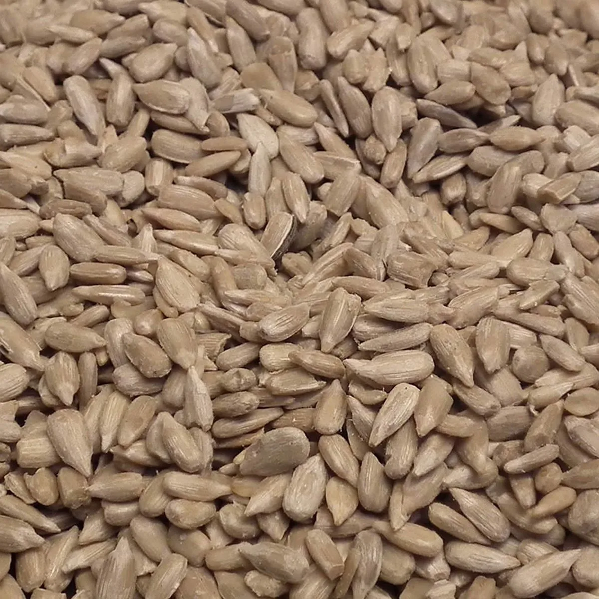 Binnenvogelvoer - Vogel - Zonnebloempitten Gepeld 25kg - 1st von Duvo+ – Produktfoto