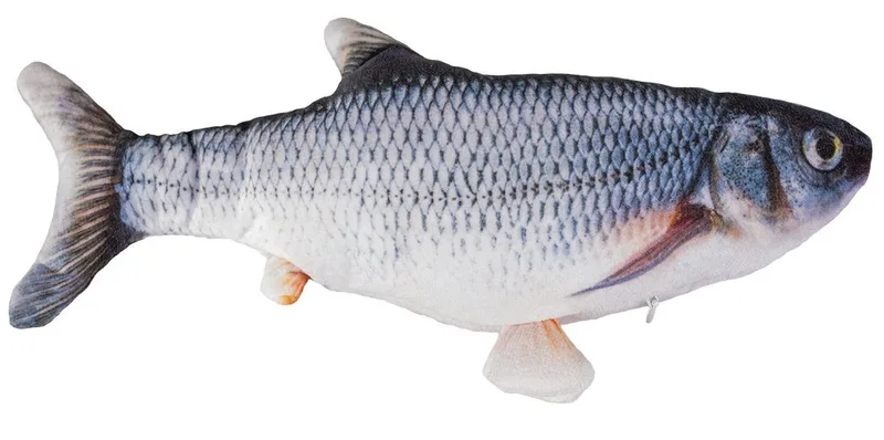Catch `n Play Fish von Duvo+ – Produktfoto