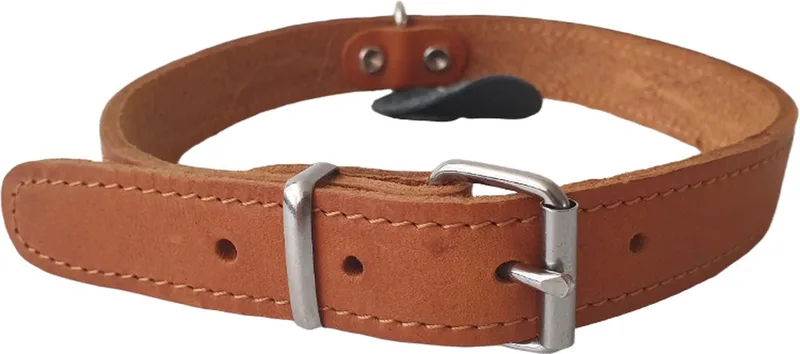 Diamond Dog Classy Halsband / Hondenhalsband - Gevet Leder - Breedte: 22 mm - Nekomtrek: 40 - 47 cm (GELIEVE ALVORENS BESTELLEN OPMETEN) von Duvo+ in Cognac – Produktfoto