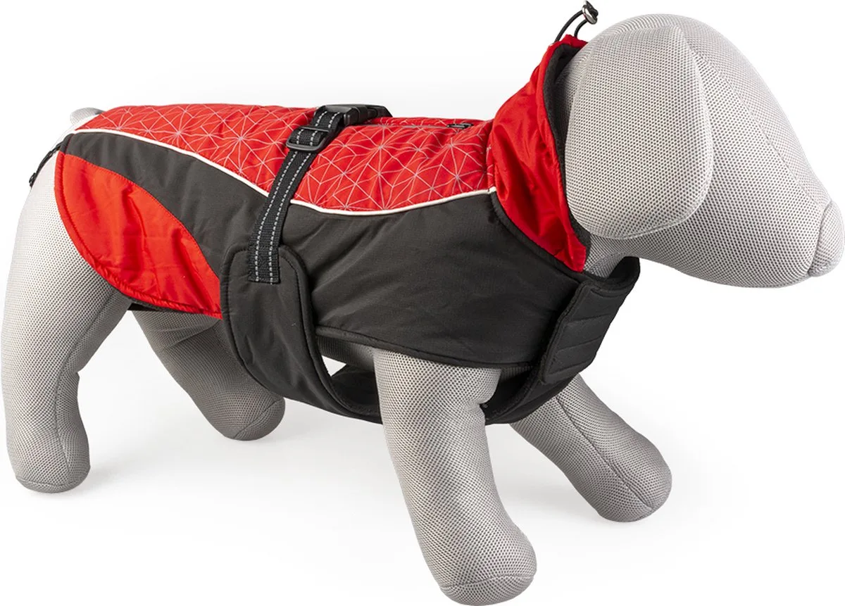 Dierenkleding - Hond - Hondenjas Hi Vis Casual L - 60cm - 1st de Duvo+ en Rouge, Noir – photo produit