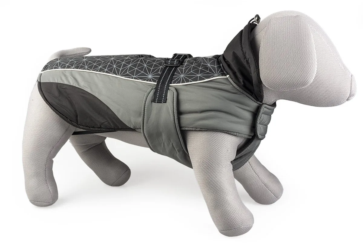 Dierenkleding - Hond - Hondenjas Hi Vis Casual L - 60cm - 1st de Duvo+ en Noir, Gris – photo produit