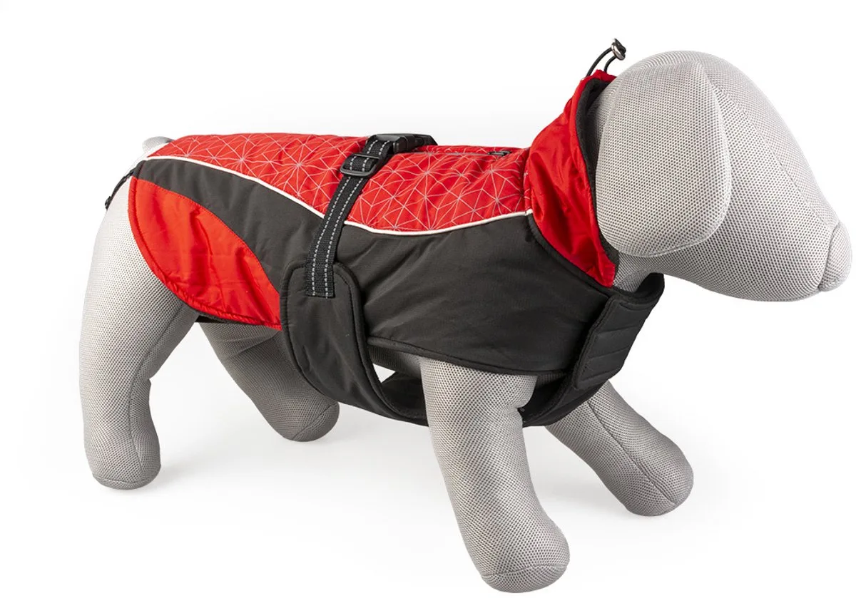 Dierenkleding - Hond - Hondenjas Hi Vis Casual M - 50cm - 1st van Duvo+ in Rood, Zwart – productfoto