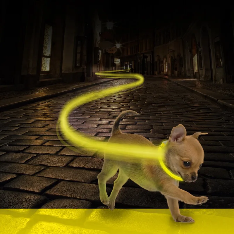 Duvoplus - Dierenkleding - Hond - Halsband Nylon Licht Usb 30-40cm/2,5cm - 1st by Duvo+ in Neon Geel – product photo