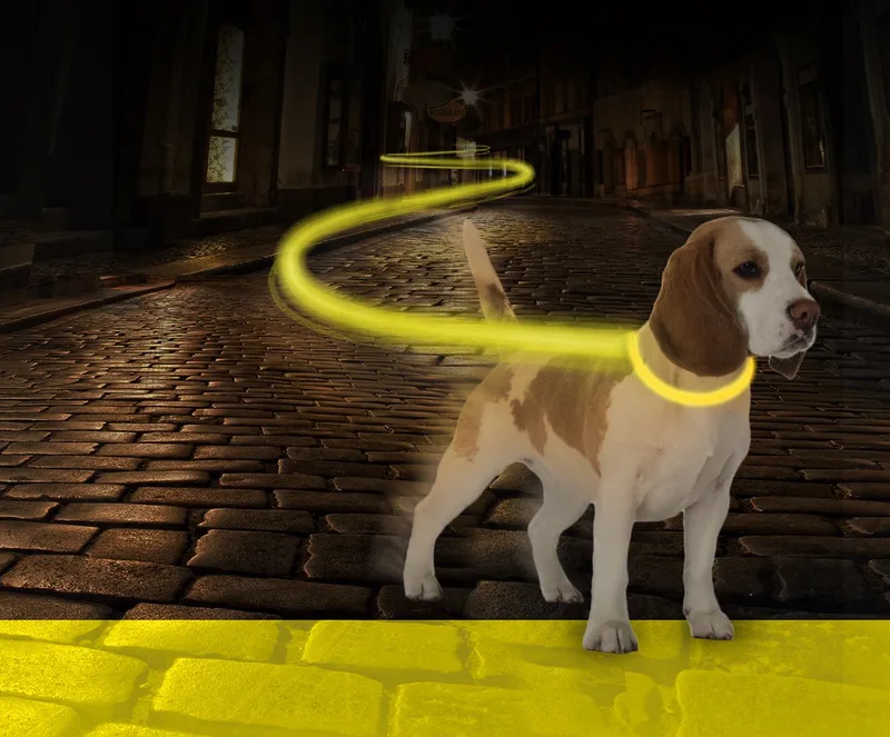 Duvoplus - Dierenkleding - Hond - Halsband Nylon Licht Usb 40-55cm/2,5cm - 1st de Duvo+ en Neon Geel – photo produit