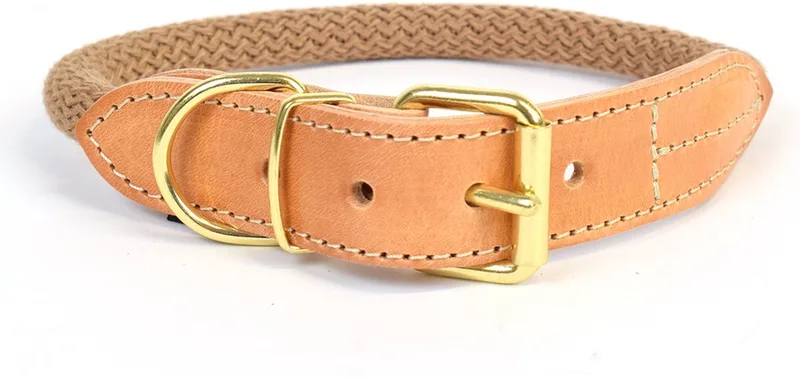 Duvoplus - Halsband Voor Dieren - Hond - Explor Forest Halsband Nylon L - 51-59cm/14mm - 1st by Duvo+ in Taupe – product photo