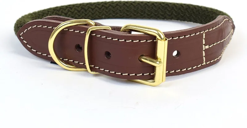 Duvoplus - Halsband Voor Dieren - Hond - Explor Forest Halsband Nylon L - 51-59cm/14mm - 1st by Duvo+ in Green – product photo