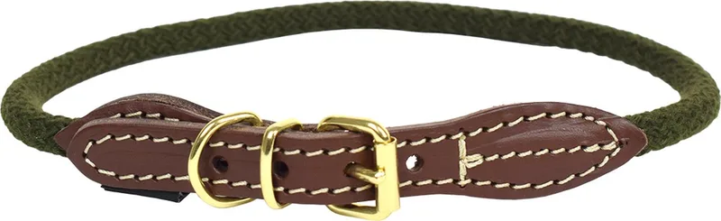 Duvoplus - Halsband Voor Dieren - Hond - Explor Forest Halsband Nylon L - 57-61cm/8mm - 1st by Duvo+ in Green – product photo