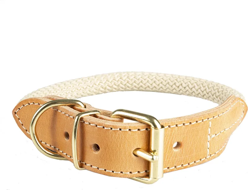 Duvoplus - Halsband Voor Dieren - Hond - Explor Forest Halsband Nylon L - 51-59cm/14mm - 1st de Duvo+ en Beige – photo produit