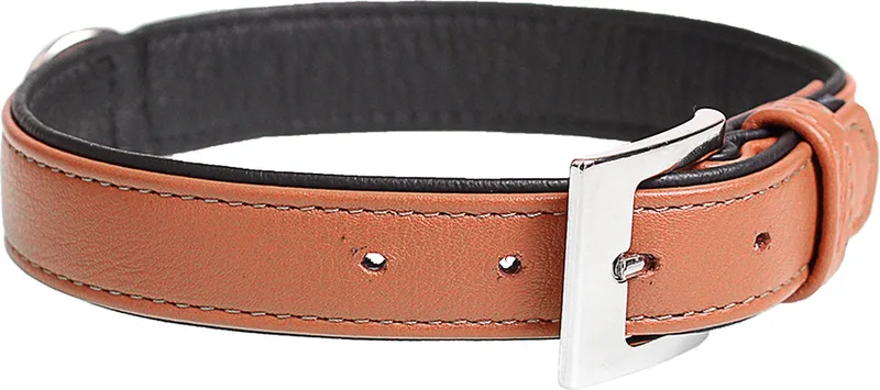 Duvoplus - Halsband Voor Dieren - Hond - Popular Leder Halsband 37-43cm/19mm - 1st de Duvo+ en Cognac – photo produit