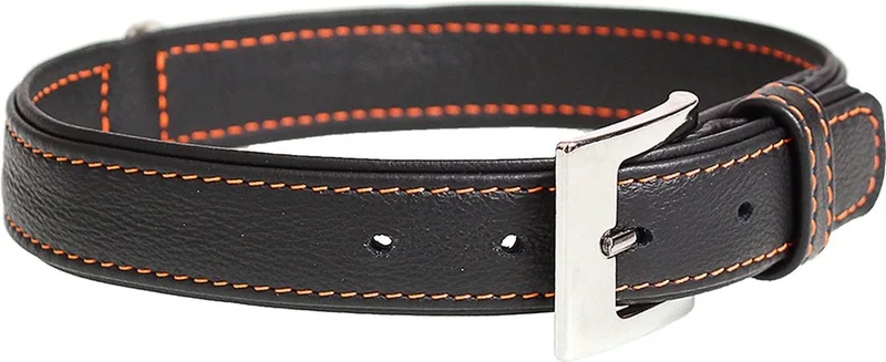 Duvoplus - Halsband Voor Dieren - Hond - Trendy Leder Halsband 32-38cm/19mm - 1st von Duvo+ in Schwarz – Produktfoto