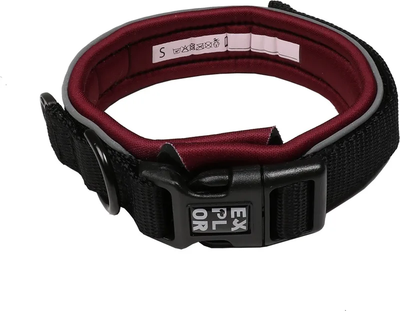 Duvoplus - Halsband Voor Dieren - Hond - Ultimate Fit Comfy Halsband Fashion M - 39-44cm - 1st von Duvo+ in Plum purple – Produktfoto