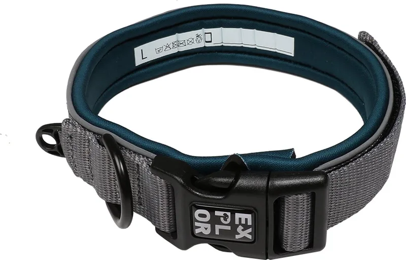 Duvoplus - Halsband Voor Dieren - Hond - Ultimate Fit Comfy Halsband Classic L - 45-51cm - 1st de Duvo+ en Petrol blue – photo produit