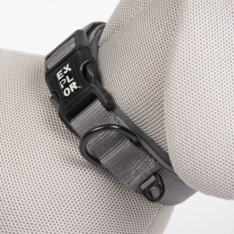 Duvoplus - Halsband Voor Dieren - Hond - Ultimate Fit Comfy Halsband Safety Xs - 30-33cm - 1st by Duvo+ in Silver Reflective – product photo