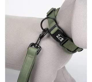 Duvoplus - Halsband Voor Dieren - Hond - Ultimate Fit Control Halsband Classic Xs - 30-33cm - 1st de Duvo+ en Undercover Green – photo produit 2 sur 2
