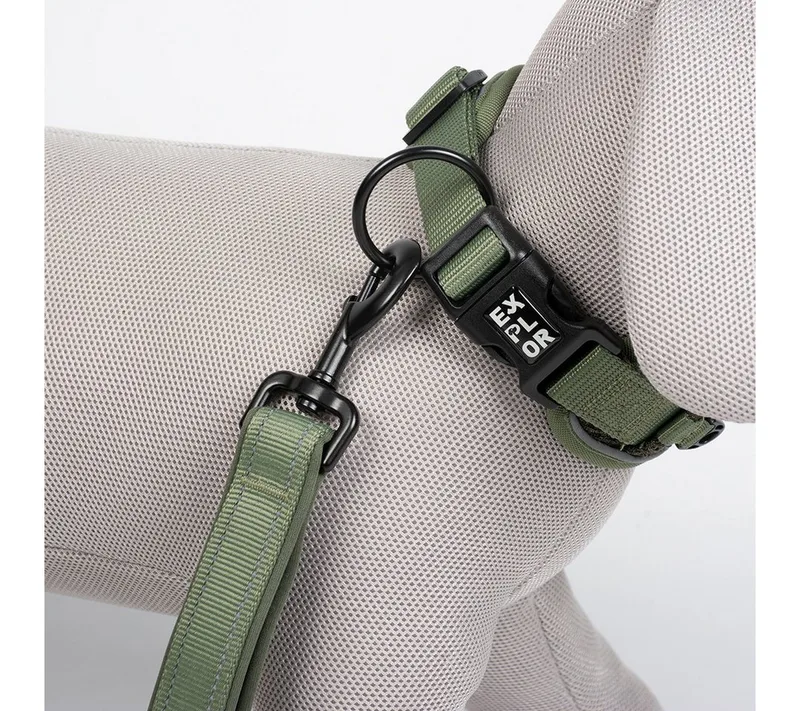 Duvoplus - Halsband Voor Dieren - Hond - Ultimate Fit Control Halsband Classic Xs - 30-33cm - 1st de Duvo+ en Undercover Green – photo produit 2 sur 2