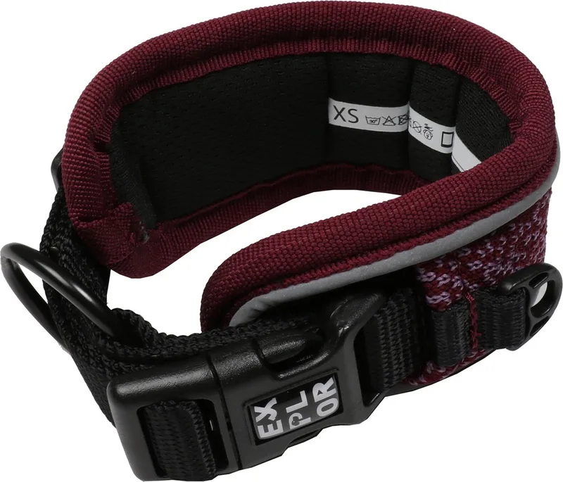 Duvoplus - Halsband Voor Dieren - Hond - Ultimate Fit Control Halsband Fashion M - 39-44cm - 1st von Duvo+ in Plum purple – Produktfoto