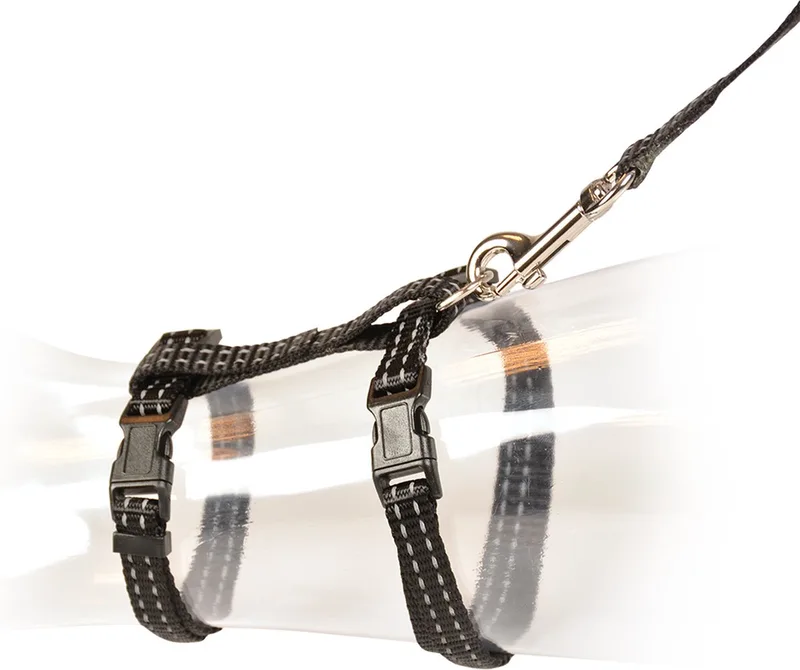 Duvoplus - Halsband Voor Dieren - Kat - Kat Wandelset Refelecterend Uni 20-35cm / 10mm - 125cm - 1st de Duvo+ en Noir – photo produit