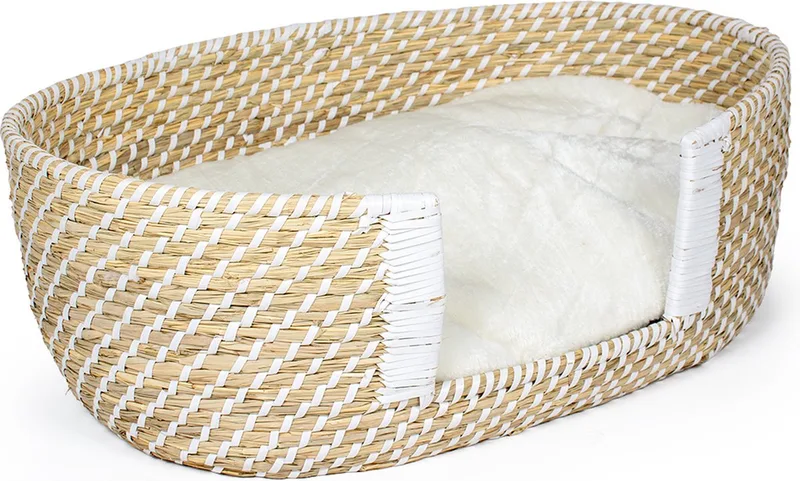 Duvoplus - Hond - Boho Rieten Instapmand & Kussen M - 68x44x24cm - 162285 by Duvo+ in Beige, White – product photo