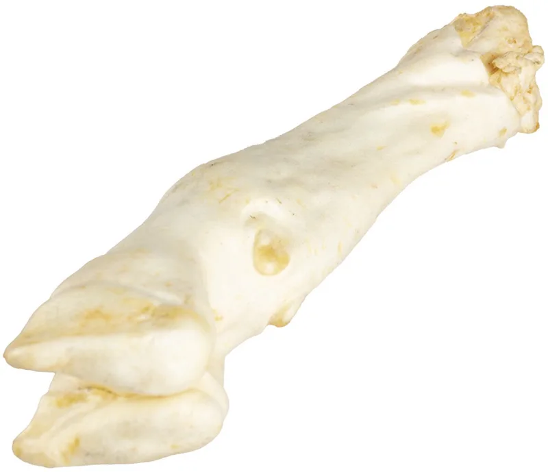 Duvoplus - Hondensnack - Hond - Farmz Lamspoot 4st - 4st de Duvo+ – photo produit