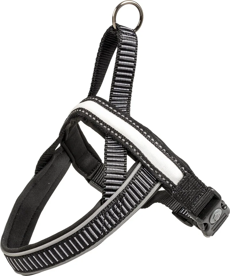 Duvoplus - Hondentuigje - Hond - Explor City Paris Harnas Led Nylon S - 49-50cm/25mm - 1st von Duvo+ in Schwarz – Produktfoto