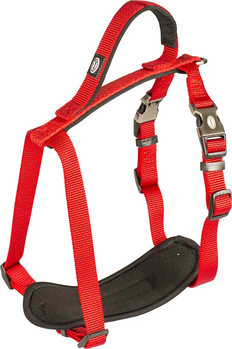 Duvoplus - Hondentuigje - Hond - Explor North Harnas Nylon S 30-40cm/15mm - 1st by Duvo+ in Red – product photo