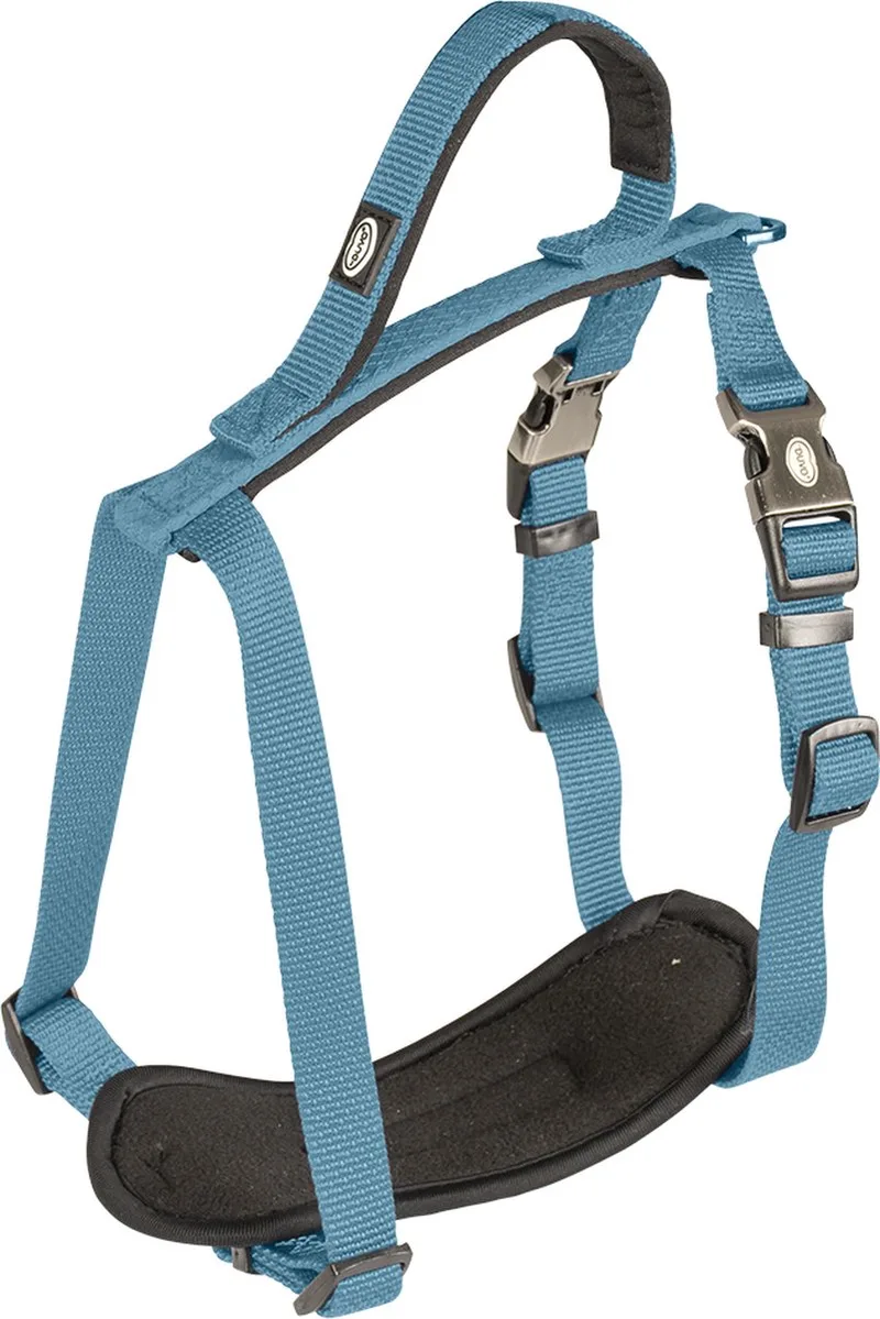 Duvoplus - Hondentuigje - Hond - Explor North Harnas Nylon Xl 65-80cm/25mm - 1st de Duvo+ en Petrol – photo produit
