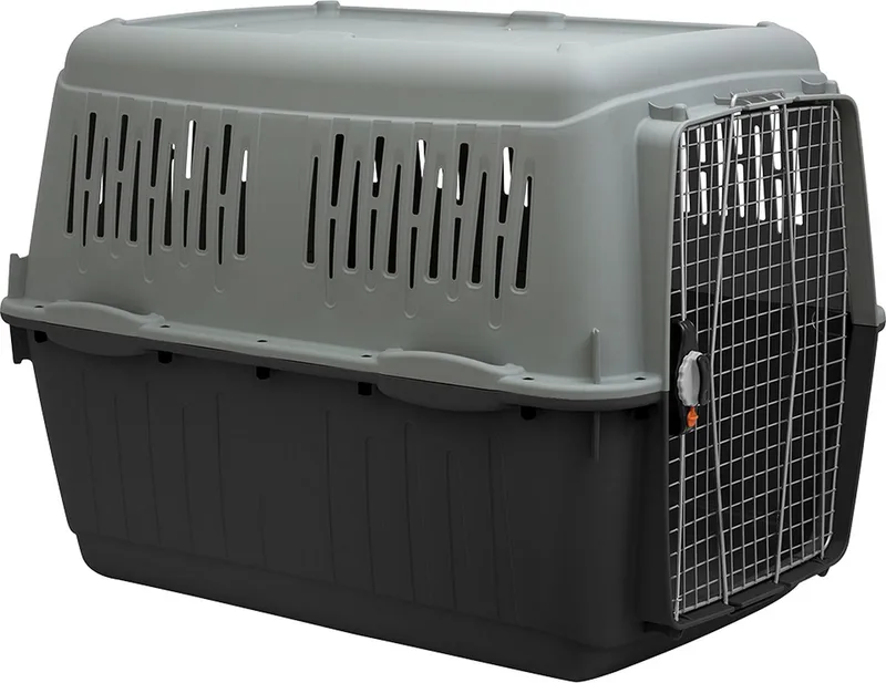 Duvoplus - Reisbench - Hond - Bracco Eco Travel Box 8 118x81x88cm - Max. 45-100kg - 1st de Duvo+ en Gris, Vert – photo produit